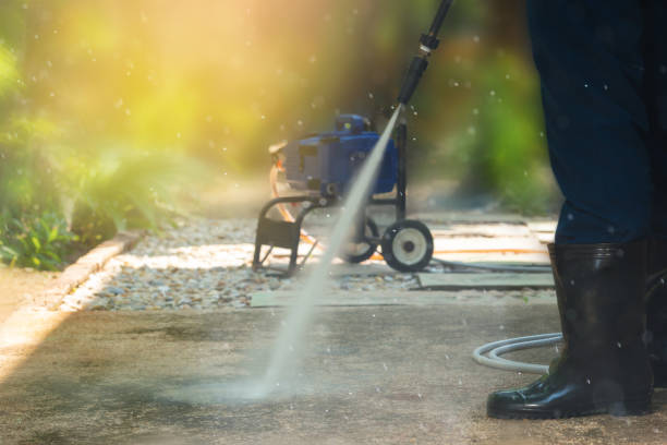 Best Animal Enclosure Cleaning  in Morgantown, IN